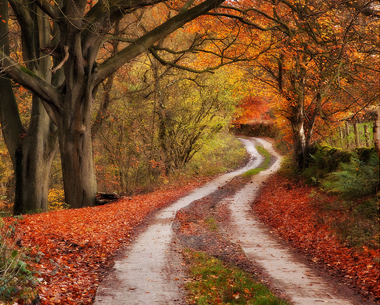 Biological Psychiatry Clinic