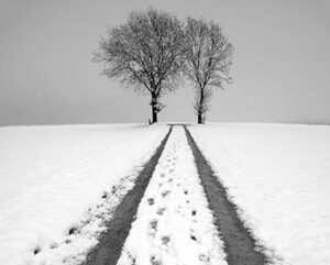 Biological Psychiatry Clinic