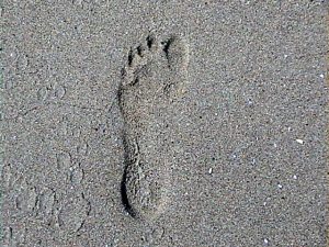 Biological Psychiatry Clinic